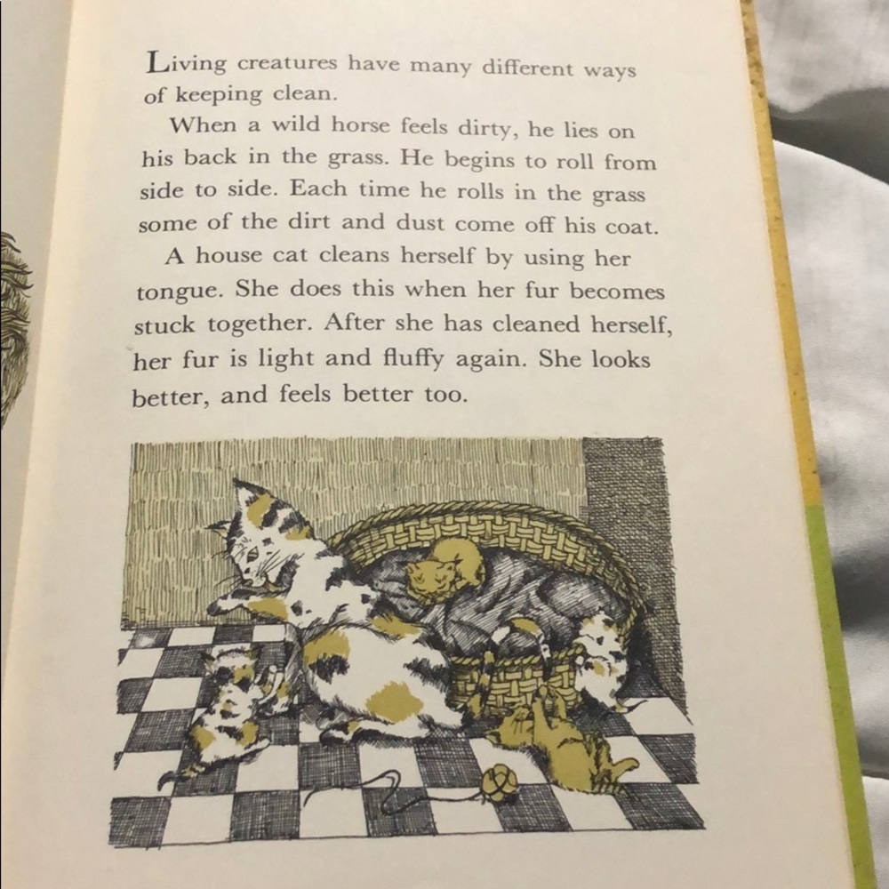 Children Book🤑 - Picture 3 of 5